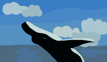 a black and white whale is jumping out of the water