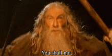 You Shall Not Pass Gandalf GIF