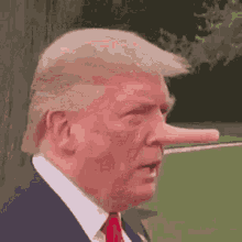 My Stuff Donald Trump GIF - My Stuff Donald Trump Nose GIFs