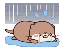 otter cry
