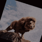 a lion standing on top of a rocky hill