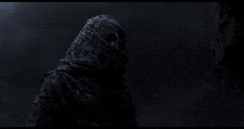 a person is standing in the dark with a hood on .