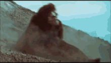 Welkong Sliding Kong GIF