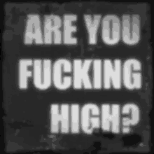 Stoned Are You Fucking High GIF - Stoned Are You Fucking High GIFs