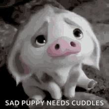 Sad Puppy GIF - Sad Puppy Piggy GIFs