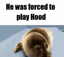 he was forced he was forced to play he was forced to play hood play hood hood
