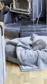 a cat is laying on a blanket in front of a fire place