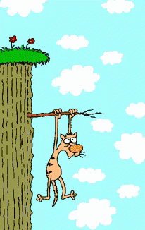 hang in there kitten tree