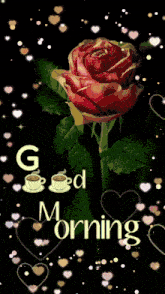 a picture of a rose with a cup of coffee and the words good morning