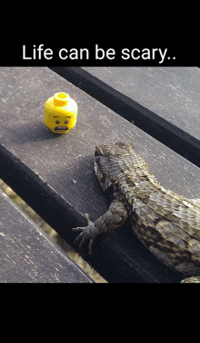a lizard laying on a wooden table next to a lego head that says " life can be scary "