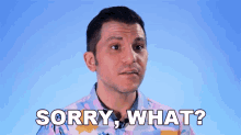 Sorry What Rerez GIF - Sorry What Rerez What Did You Say GIFs
