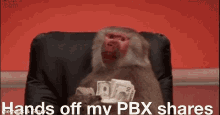 Pbx Monkey GIF - Pbx Monkey GIFs