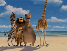 a group of cartoon animals standing on a beach