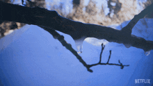 Freezing Our Living World GIF - Freezing Our Living World Turning Into Ice GIFs