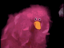 Weird Cursed GIF - Weird Cursed Chickens GIFs