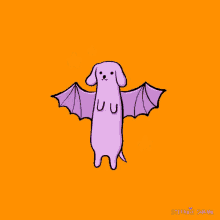 dog bat