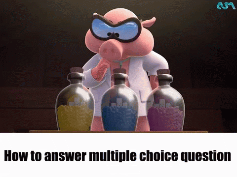 aum-how-to-answer-multiple-choice-question.gif