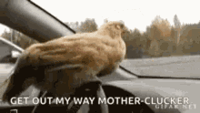 Mother Clucker Get Out Of My Way GIF - Mother Clucker Get Out Of My Way Out Of The Way GIFs