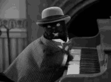 cats piano