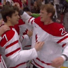 Hugging Ice Hockey GIF