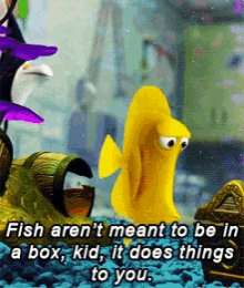 Finding Nemo Fish GIF