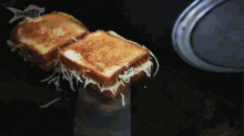 Bacon And Cheese Frenzy GIF - Grilled Bacon Cheese GIFs