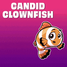 a cartoon clownfish with the words " candid clownfish " above it