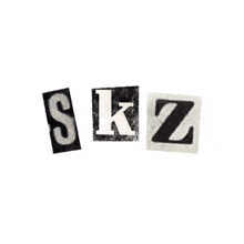 Skz GIF - Skz GIFs