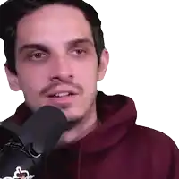 a man wearing a maroon hoodie is speaking into a microphone