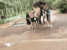 Kerala Elephant GIF - Kerala Elephant Hit GIFs
