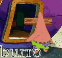 Burro GIF - Burro Fail GIFs