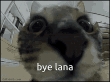 Bye Bye Lana GIF - Bye Bye Lana GIFs