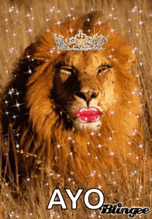 tiger king carol lion kiss
