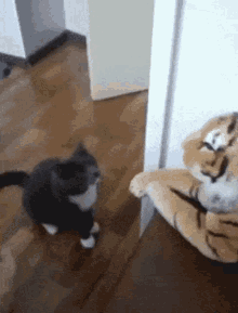 GIF