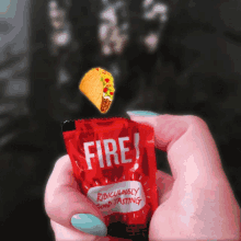 On Fire GIF - Fire Taco Tacos GIFs