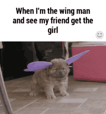 When I'M The Wingman GIF - Dog Wings Butterfly GIFs