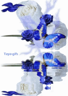 Reflection Blue GIF - Reflection Blue Flowers GIFs