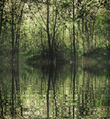 River Nature GIF
