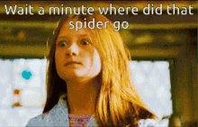 did spider