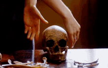 Skeleton Outlander GIF - Skeleton Outlander Skull GIFs