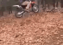 adult swing play motorcycle tricks