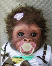Baby Chimp GIFs | Tenor