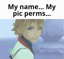 a screenshot of a video game character with the words `` my name ... my pic permits ... '' .
