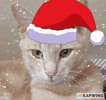 a cat is wearing a santa hat with snow falling around it