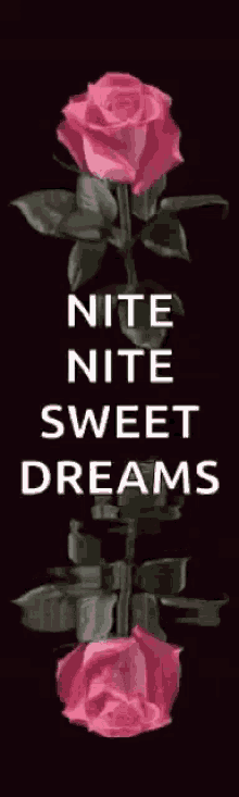 Sweet Dreams Nite GIF - Sweet Dreams Nite Flowers GIFs