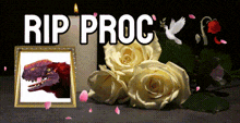 a picture of a dinosaur and roses with the words rip proc written above it