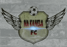 a drawing of a soccer ball with wings and the word nakanla fc