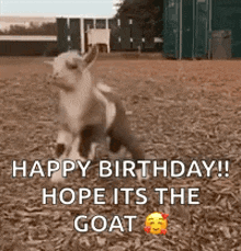 Happy Dancing GIF - Happy Dancing Goat GIFs
