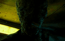 GIF