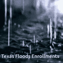 Winner Texas Floods Enrollemts GIF - Winner Texas Floods Enrollemts Rain GIFs